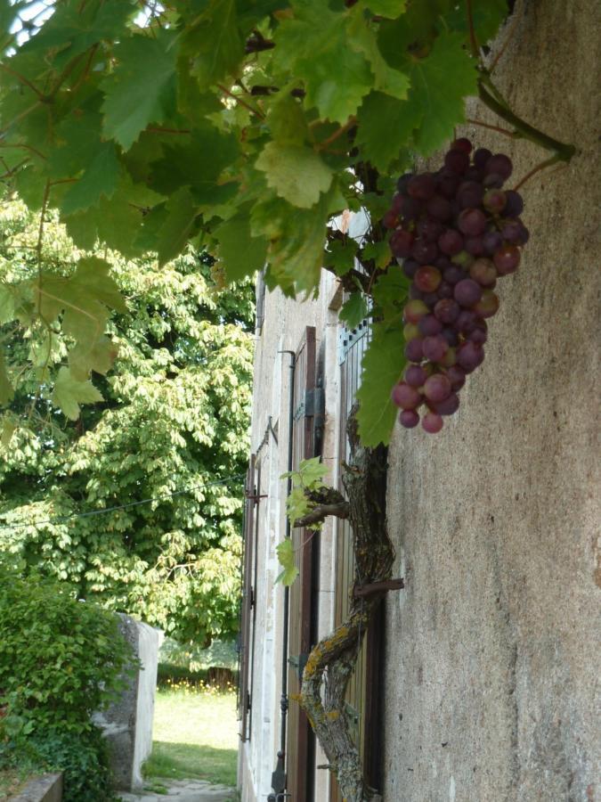 A L'Ombre Du Marronnier Gites La Peruse Exterior foto